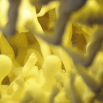3DPrinting.Lighting_Fall-of-the-Damned-Chandelier