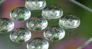 Printed Optics now Available for Outdoor Lighting Application